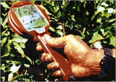 Farmer using prototype in the field